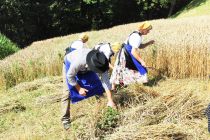 60. Praznik žetve na Polenšaku