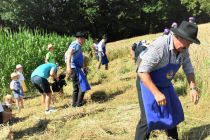 60. Praznik žetve na Polenšaku