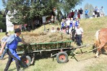 60. Praznik žetve na Polenšaku