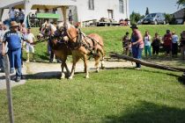 60. Praznik žetve na Polenšaku