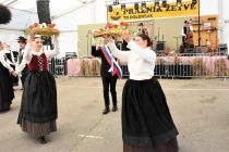 Kulturni program na 60. Prazniku žetve