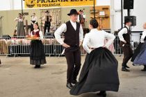 Kulturni program na 60. Prazniku žetve