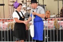 Kulturni program na 60. Prazniku žetve