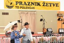 Kulturni program na 60. Prazniku žetve