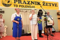 Kulturni program na 60. Prazniku žetve