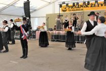 Kulturni program na 60. Prazniku žetve