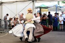 Kulturni program na 60. Prazniku žetve