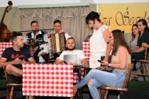 Muzikal Za Šegulovo mizo