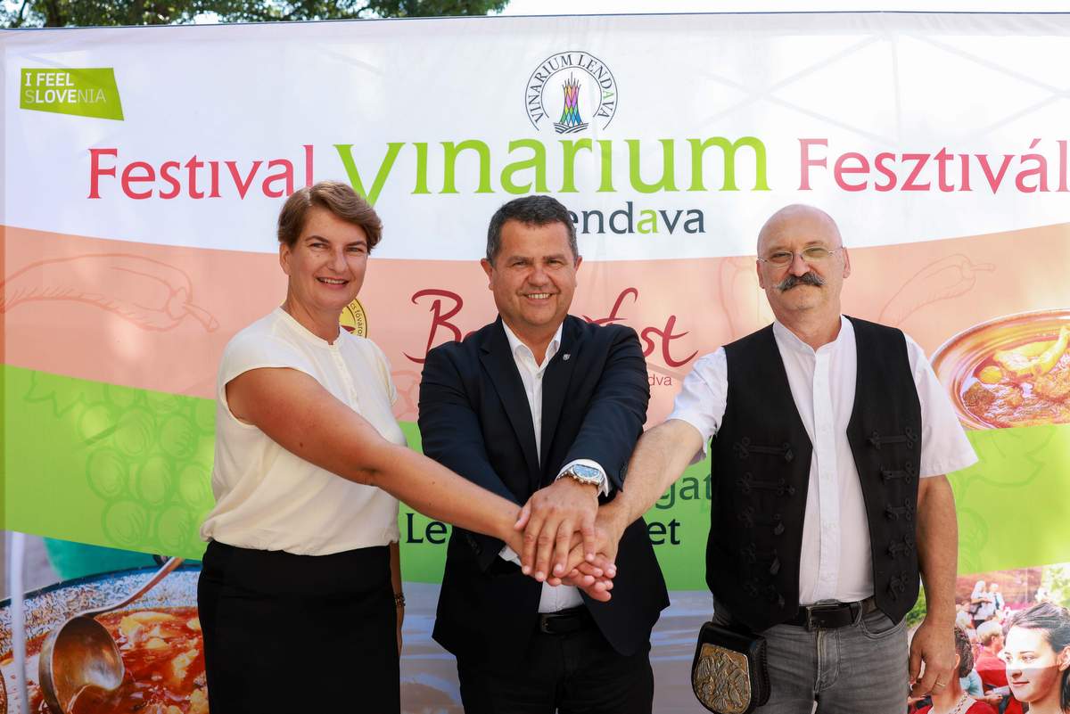 Festival Vinarium 2023