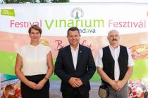 Festival Vinarium 2023