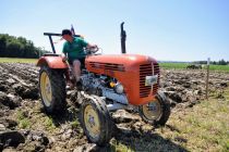 Oranje s starodobnimi traktorji na Krčevini