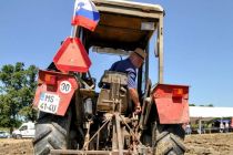 Oranje s starodobnimi traktorji na Krčevini