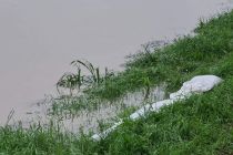 Poplave na Razkrižju