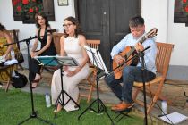 Dnevi Poezije in vina pri Puhovem muzeju