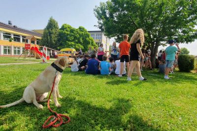 Prleški reševalni kinološki tim na vaji civilne zaščite