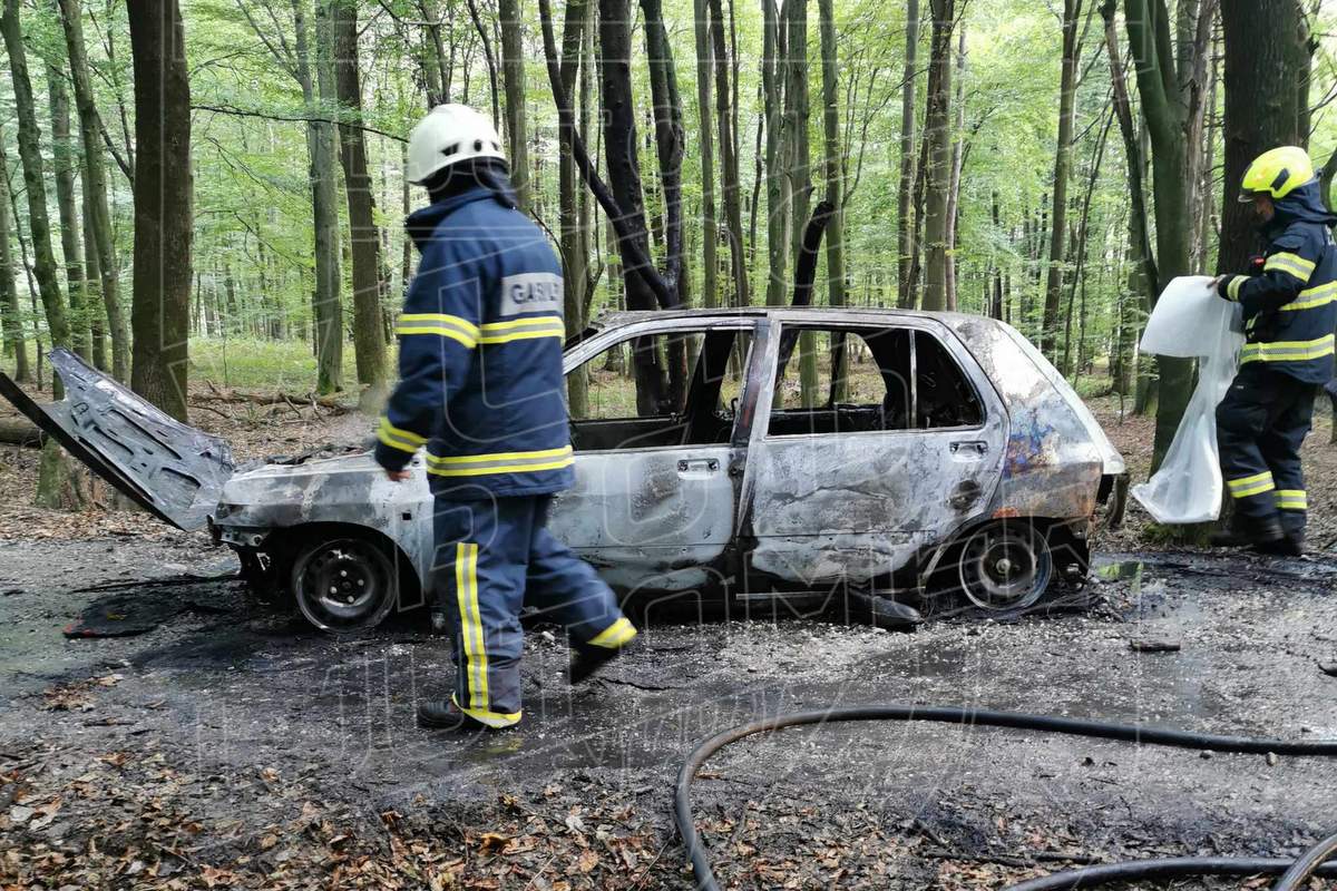 Vozilo je zgorelo v celoti