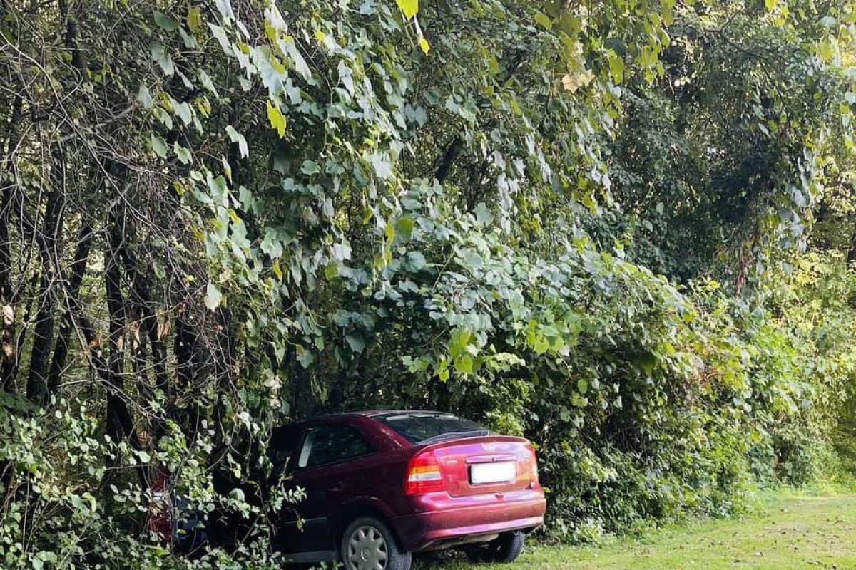 Voznik je zapeljal v drevo Voznik je zapeljal v drevo