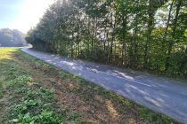 Omejitev hitrosti na cesti Ljutomer - Cezanjevci