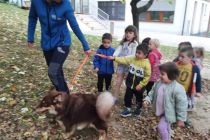 Terapevtska psička Lumi v vrtcu Mala Nedelja