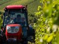Trgatev Puklavec Family Wines
