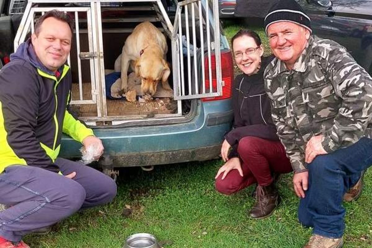 Labradorka Samara je bila najuspešnejša