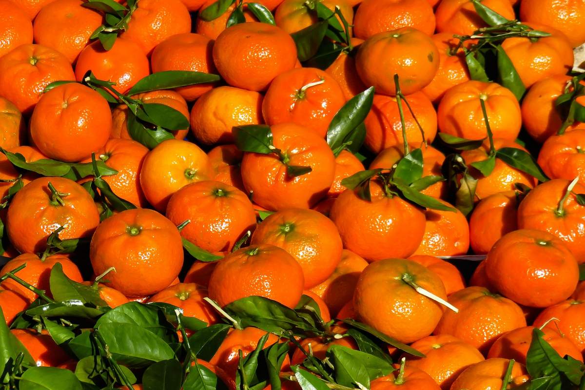 Mandarine (simbolična fotografija)