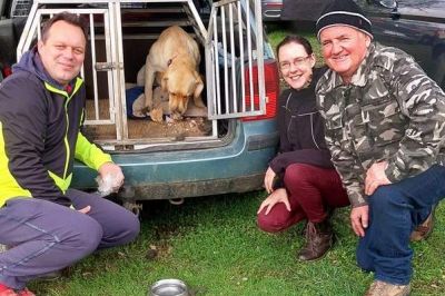 Labradorka Samara je bila najuspešnejša