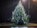 Blagoslov božično-novoletnega drevesa s prižigom lučk