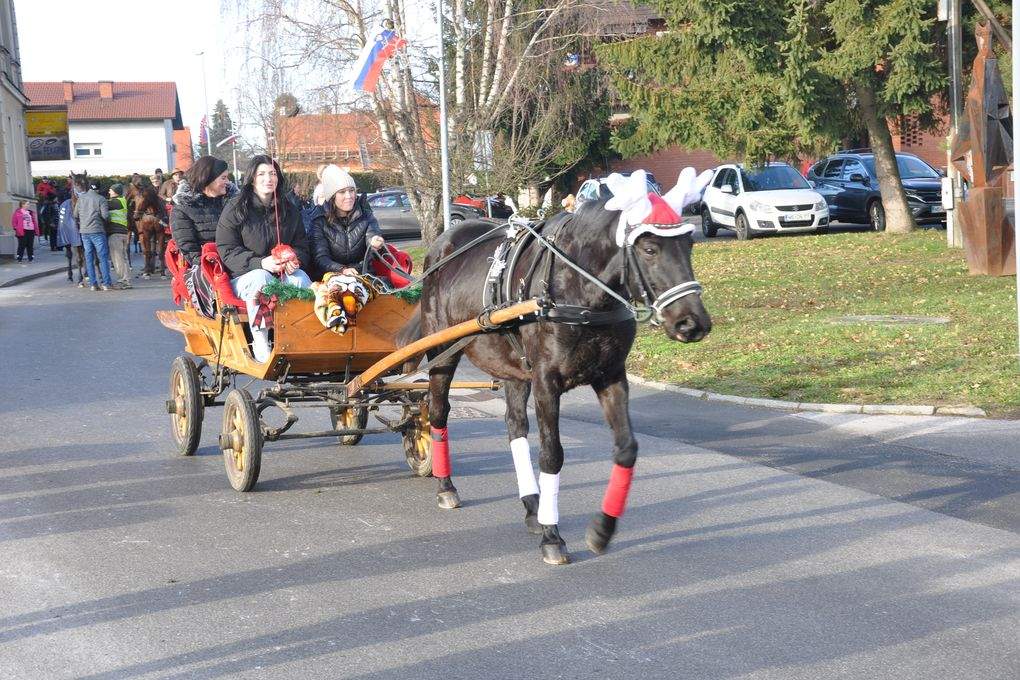 Blagoslov konjev v Križevcih pri Ljutomeru