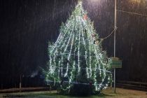 Blagoslov božično-novoletnega drevesa s prižigom lučk