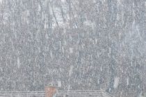 Sneg v Ljutomeru