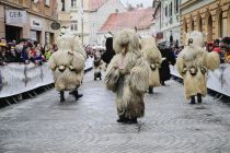 Mednarodna karnevalska povorka