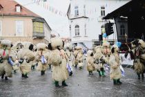 Mednarodna karnevalska povorka