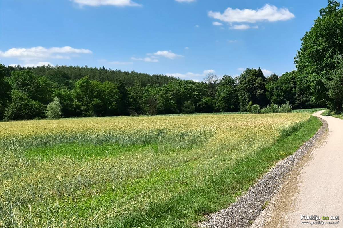 Zemljišče se nahaja ob stezi in glavni cesti