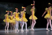 Baletna predstava Grdi raček