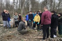 Radenska za obnovo slovenskih gozdov