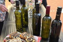 Rez vinske trte v Ljutomeru