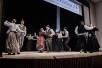 Območno srečanje odraslih folklornih skupin