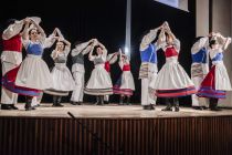 Območno srečanje odraslih folklornih skupin