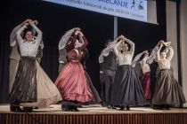 Območno srečanje odraslih folklornih skupin