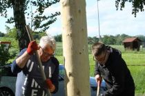 Postavljanje mlaja v Orehovcih