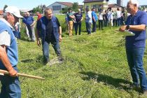 36. tekmovanje koscev v Vogričevcih