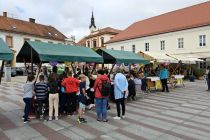 Parada učenja v Ljutomeru