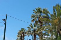 TKD Babinci v Sanremu in na Azurni obali