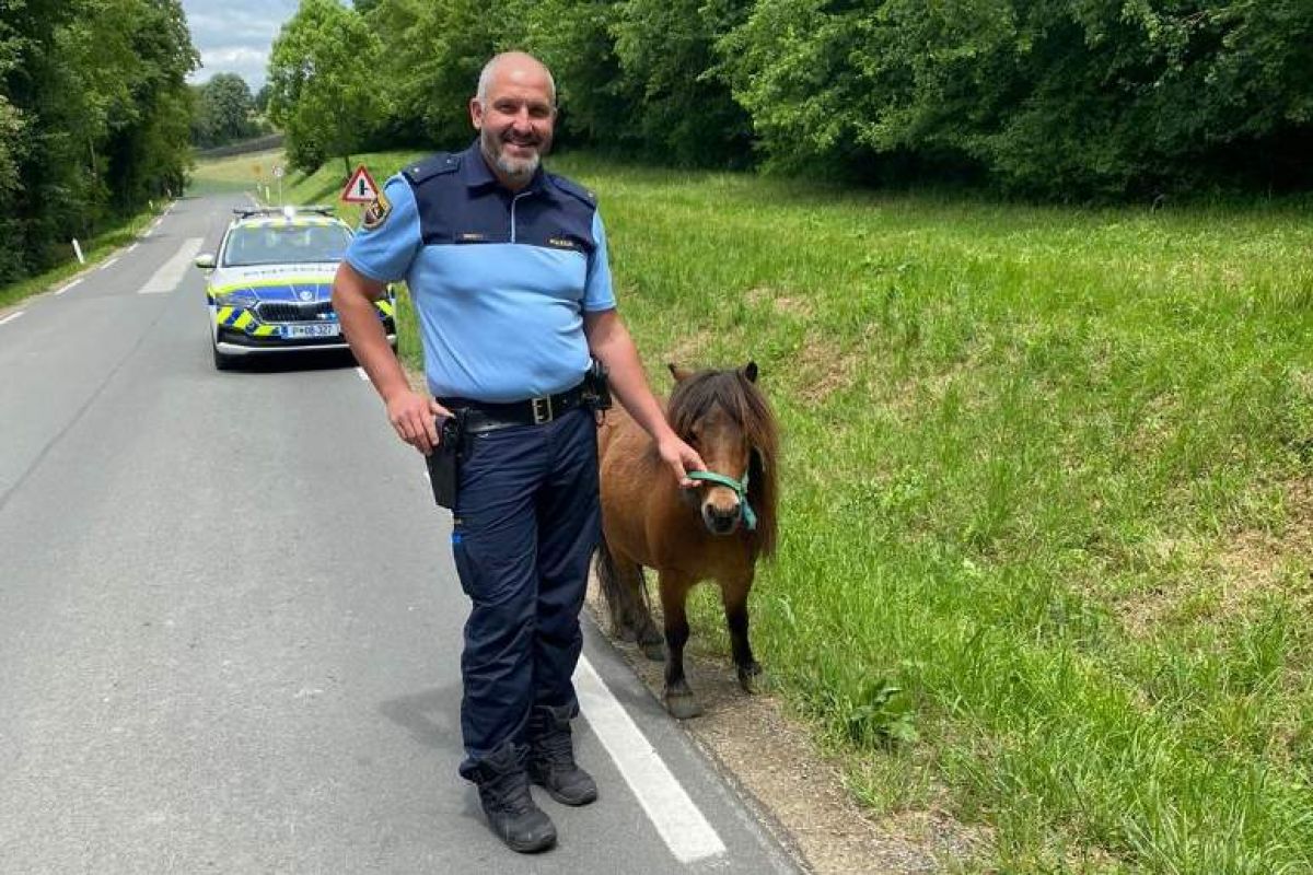 Policisti so izsledili ponija