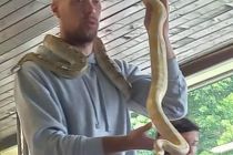 Noč branja na OŠ Cvetka Golarja