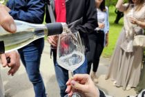 Vinobus 2024