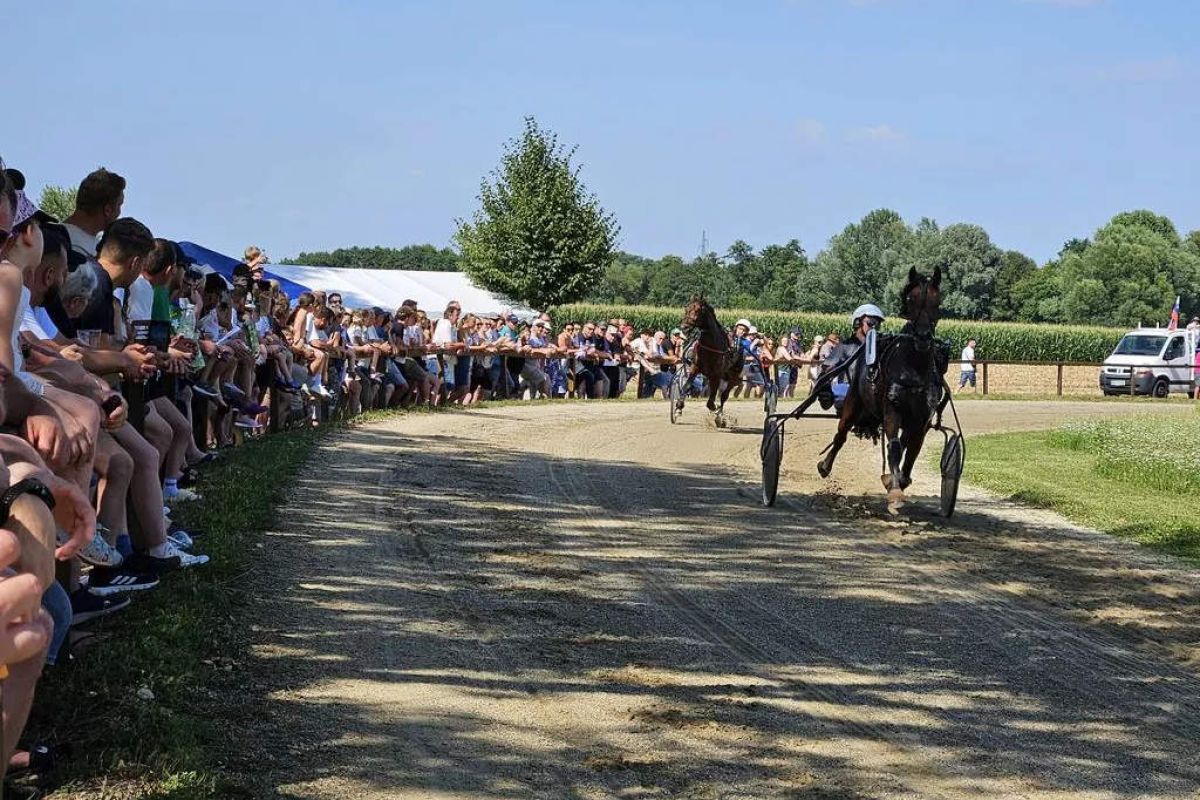 Kasaške dirke v Križevcih, foto: Občina Križevci