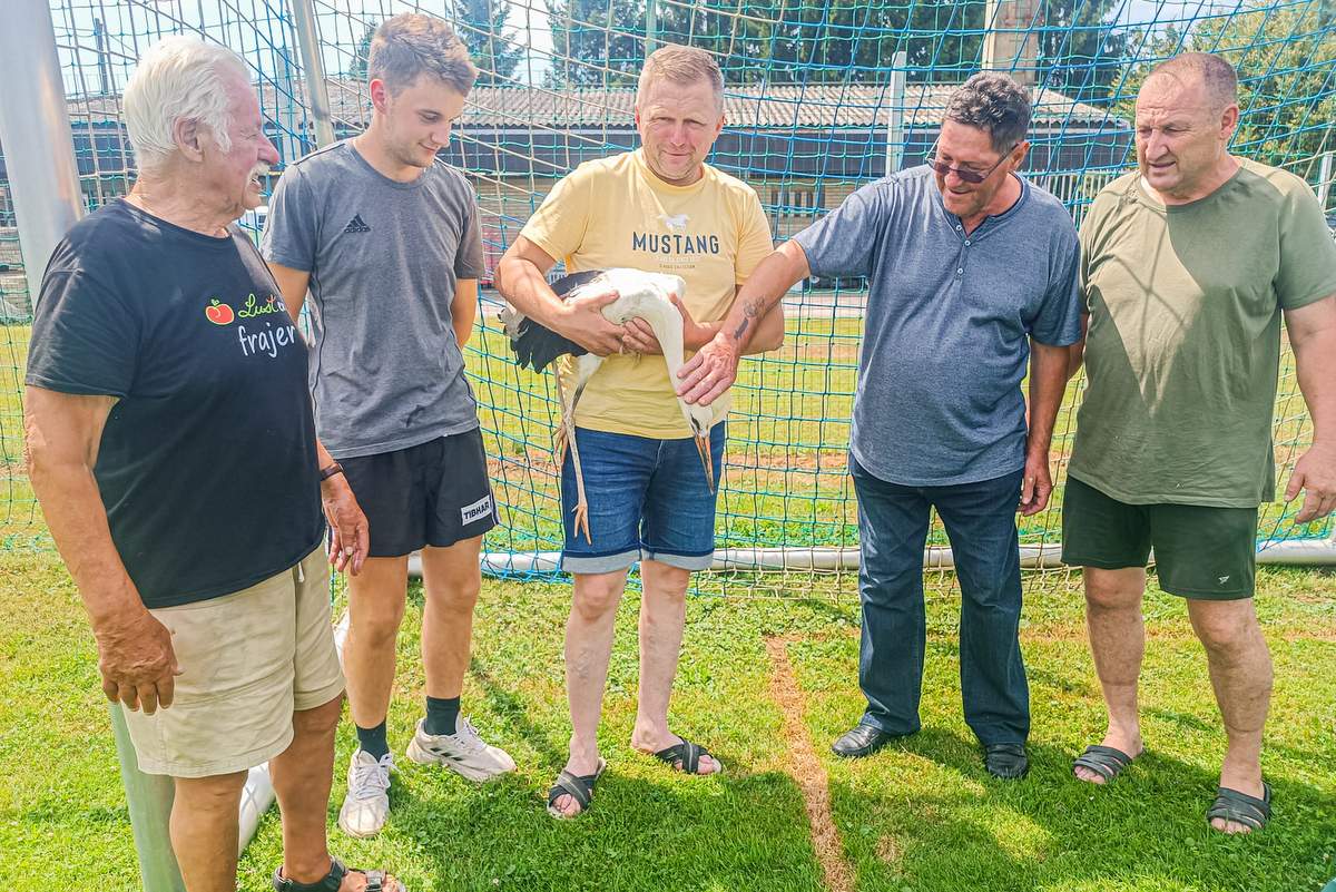 Vaščani so pomagali mladiču