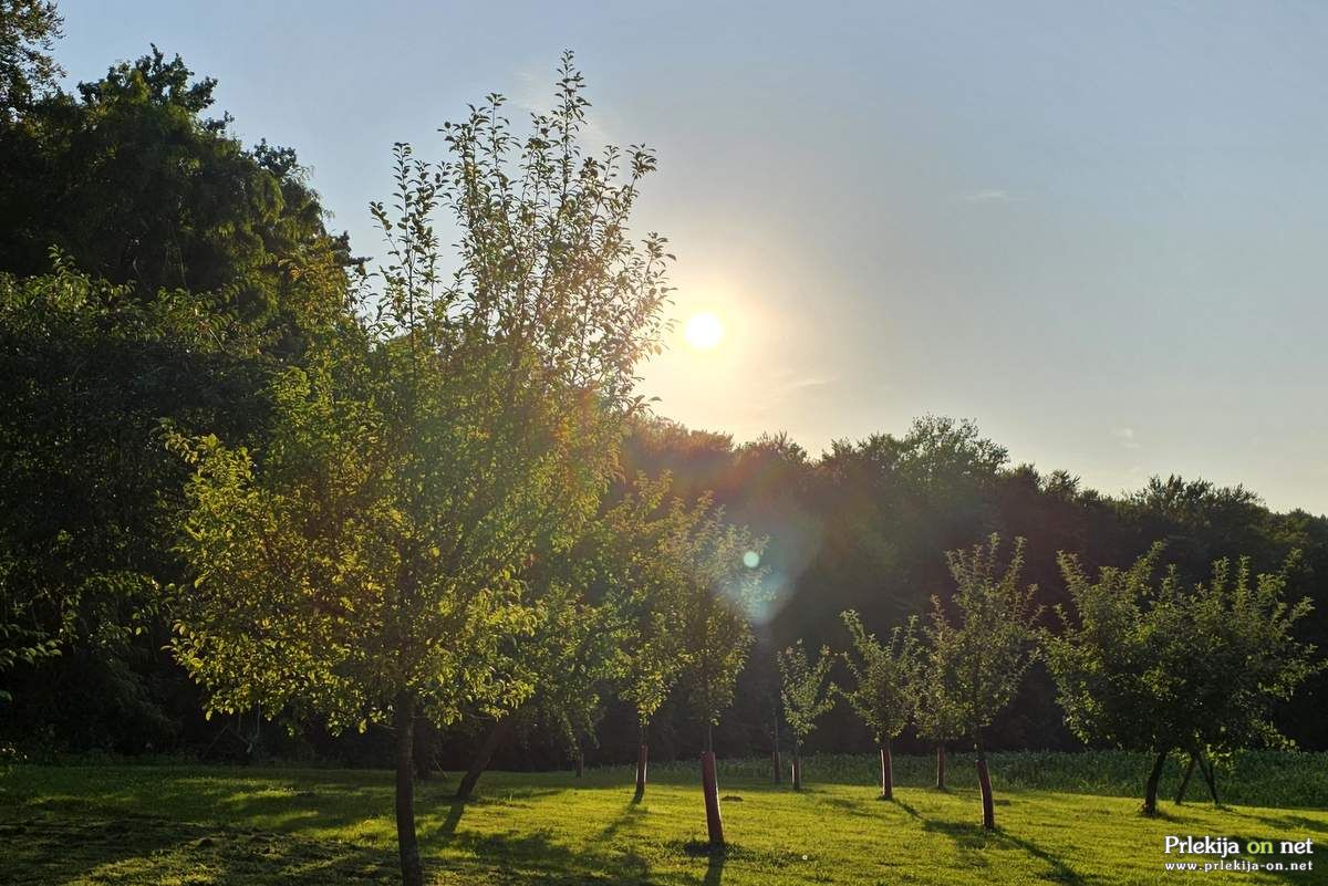 Vroče in soparno bo